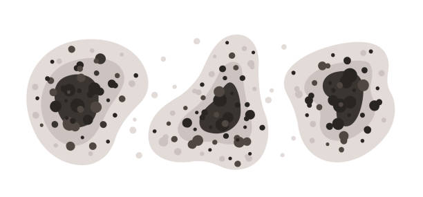 Best Air Quality Testing for Mold Spores  in Lacy Lakeview, TX